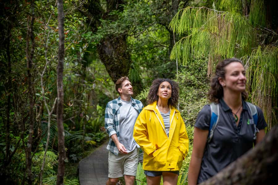 Stewart Island: Ulva Island Guided Wilderness Walk & Cruise - How the 150 minutes are divided