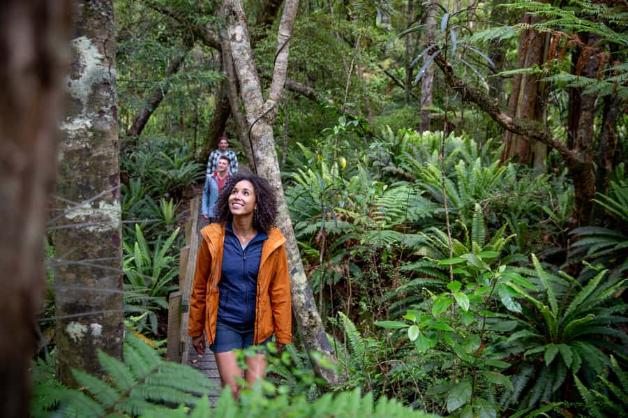 Stewart Island: Ulva Island Guided Wilderness Walk & Cruise - Weather, changes, and practical comfort