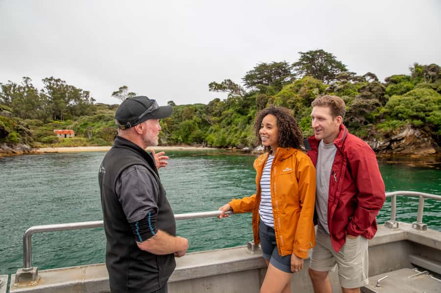 Stewart Island: Ulva Island Guided Wilderness Walk & Cruise - Cruising into Paterson Inlet