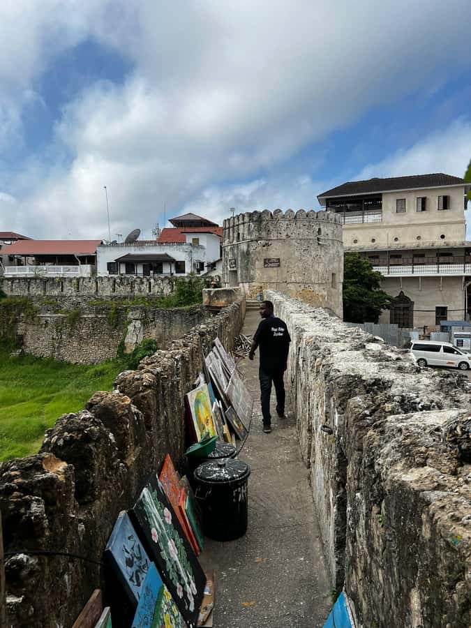 Stone Town's Hidden History: Private Guided Walking Tour - Why Stone Town works best with a guide