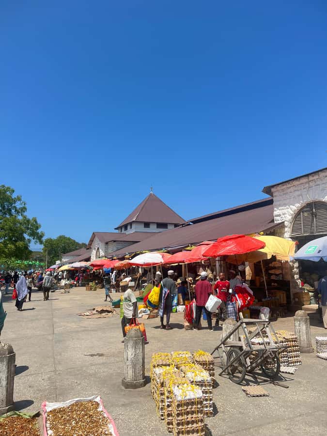 Stone Town's Hidden History: Private Guided Walking Tour - Freddie Mercury’s house and the modern side of Stone Town