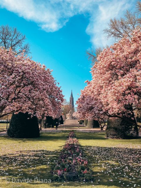 Strasbourg: Guided Historical Neighborhoods Walking Tour - Key points at a glance