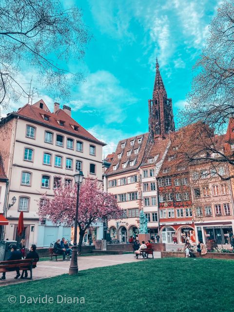 Strasbourg: Guided Historical Neighborhoods Walking Tour - Group size, pace, and comfort