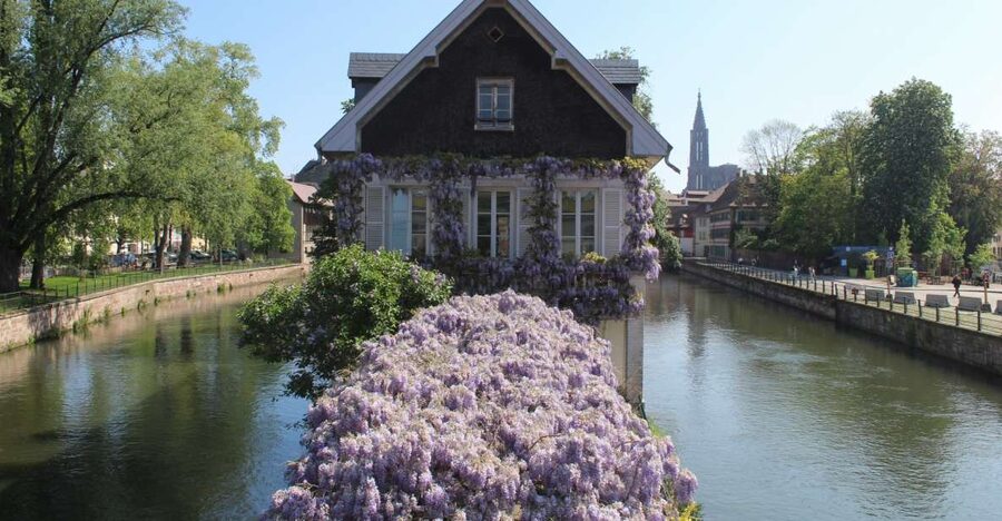 Strasbourg: Walking Tour with Local Guide - Five useful things to know before you book