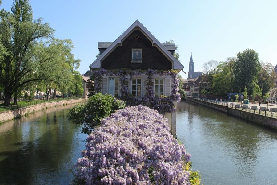 Strasbourg: Walking Tour with Local Guide - Petite France and the Tonneliers district