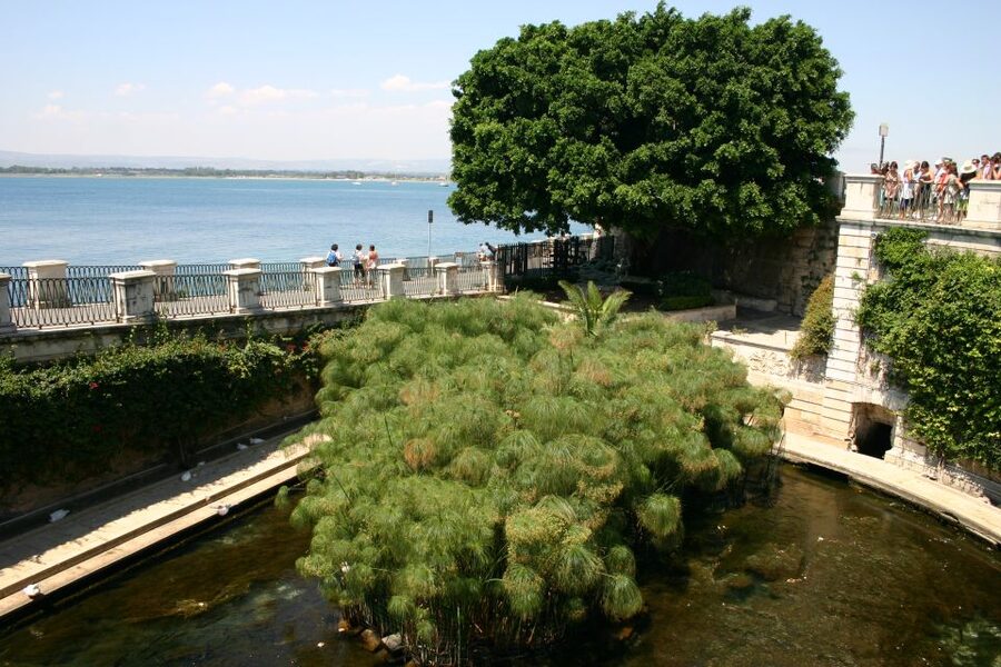 Syracuse: Ortigia Private Walking Tour - Piazza Archimede and the Fountain of Diana