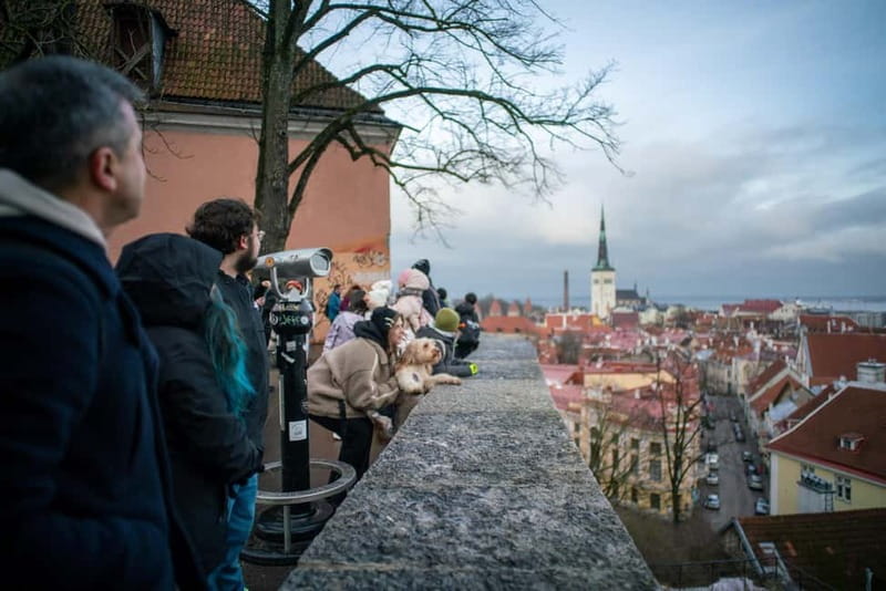 Tallinn: 1.5-Hour Old Town Walking Tour - Key points at a glance