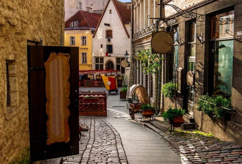 Tallinn: Guided Old Town Historical Walking Tour - Starting beneath Tallinn’s Town Hall clock