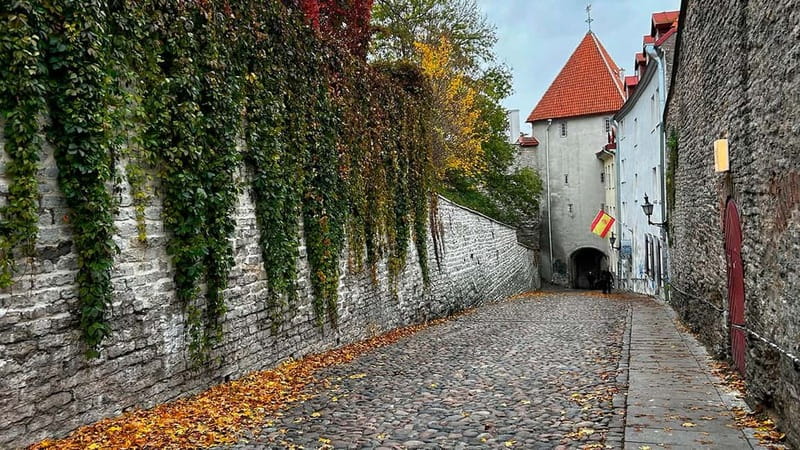 Tallinn: Guided Old Town Historical Walking Tour - Pikk Street, the Great Guild, and merchant Tallinn