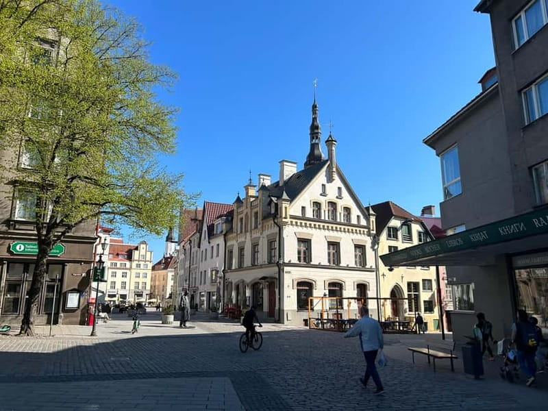 Tallinn: Medieval Walking Tour - Kohtuotsa and Patkuli: Tallinn’s big views