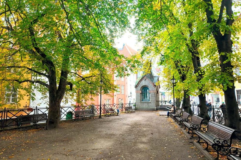 Tallinn Old Town: Stories and Views 2‑Hour Walking Tour - Patkuli viewpoint: Tallinn from above