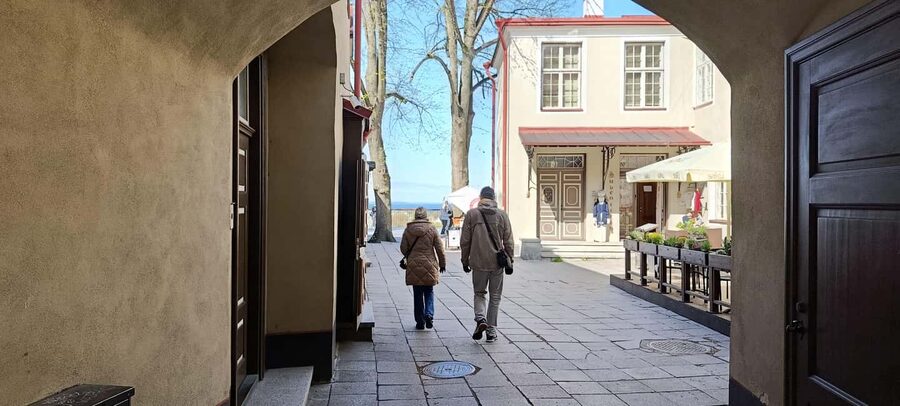 Tallinn: Private Walking Tour with a Local - Timing, languages, accessibility, and comfort