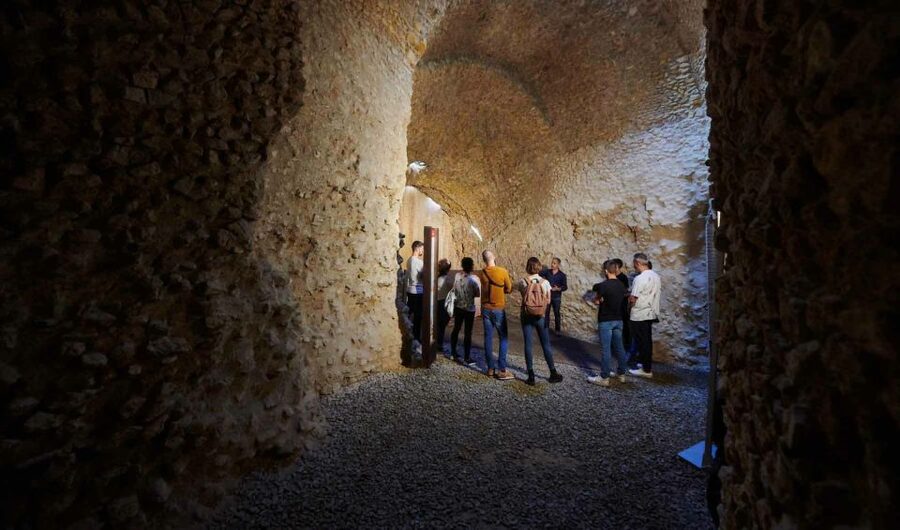 Tarragona: Roman Heritage Guided Walking Tour - Circus vaults and the world of chariot racing