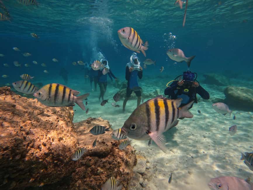 Tenerife: Underwater Walk - Sea Trek Experience - At a glance