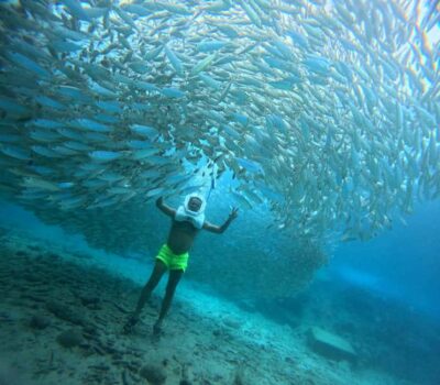 Tenerife: Underwater Walk – Sea Trek Experience