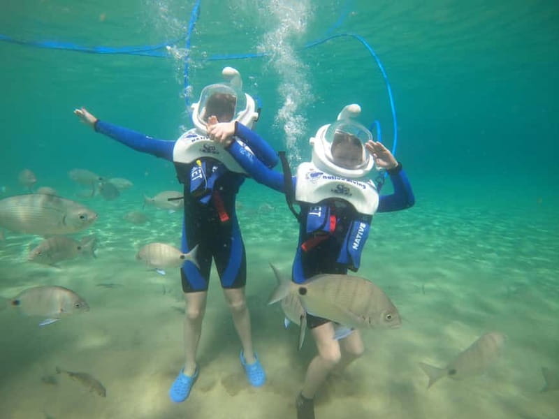 Tenerife: Underwater Walk - Sea Trek Experience - Fish, volcanic rock, and a strange sense of weightlessness