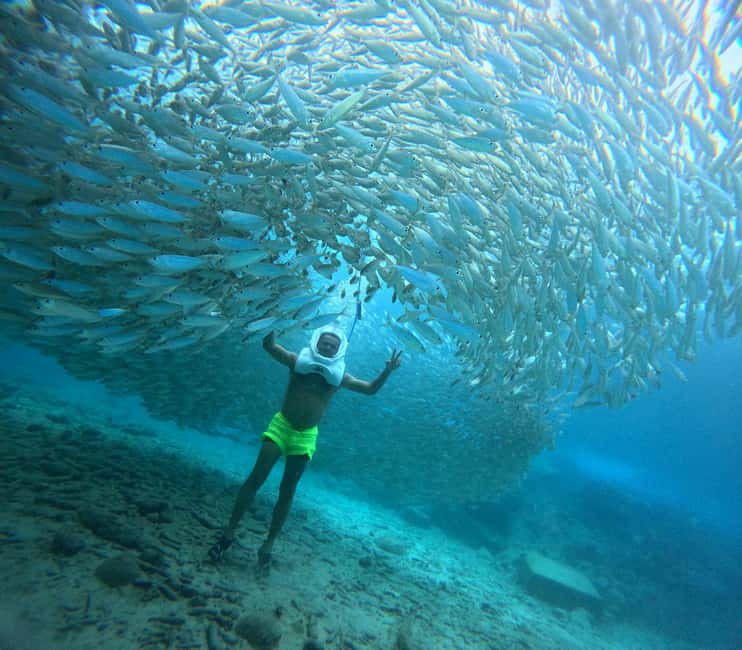 Tenerife: Underwater Walk - Sea Trek Experience - Starting at Paseo Aquilino in Los Cristianos