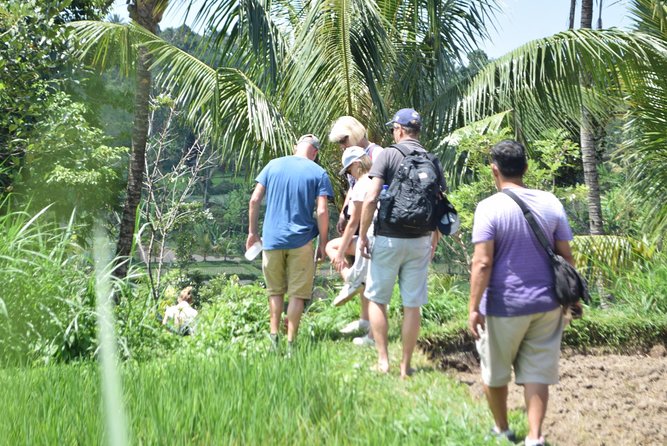 Tetebatu Walking Tour - Rice Terraces, Waterfall & Monkey Forest - Why Tetebatu makes a fine day outside Lombok’s resorts