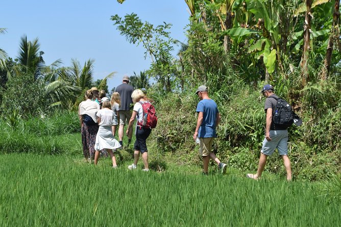 Tetebatu Walking Tour - Rice Terraces, Waterfall & Monkey Forest - Tetebatu Waterfall and a slower forest pause