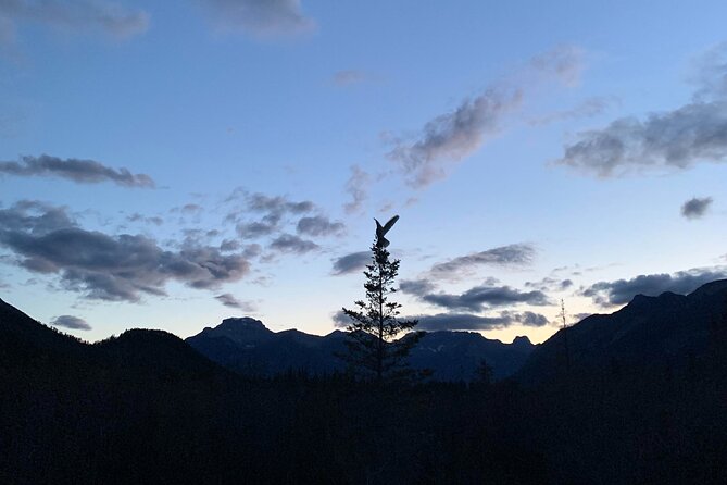 The Banff Stargazing Tour - 2hr Walking Tour - Why this night walk feels different from daytime Banff