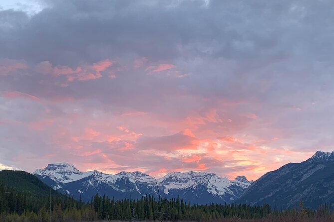 The Banff Stargazing Tour - 2hr Walking Tour - Clear skies, clouds, smoke, and the Northern Lights
