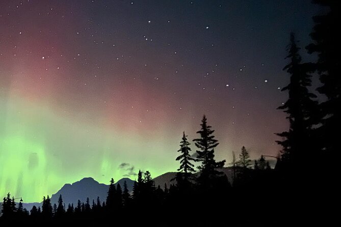 The Banff Stargazing Tour - 2hr Walking Tour - What the $68.34 price gets you