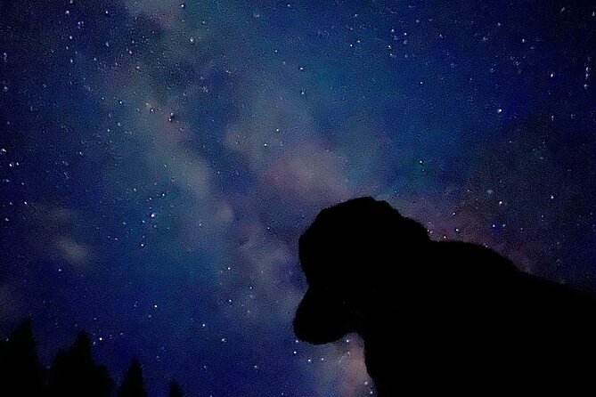 The Banff Stargazing Tour - 2hr Walking Tour - What to wear and carry