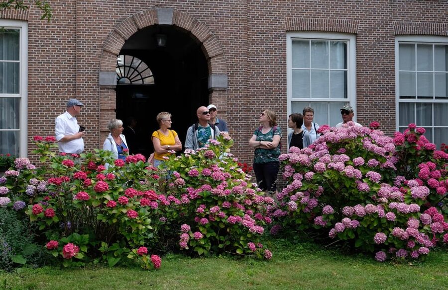 The Hague: Courtyard Walking Tour - A quiet contrast with central The Hague