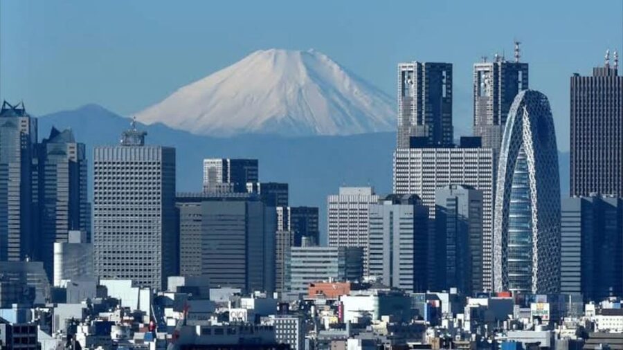 Tokyo: Customizable Private Guided Walking Tour - Tokyo’s famous sights, one choice at a time
