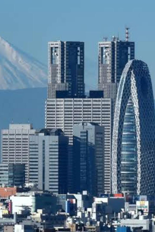 Tokyo: Customizable Private Guided Walking Tour - Learning Tokyo’s train system along the way