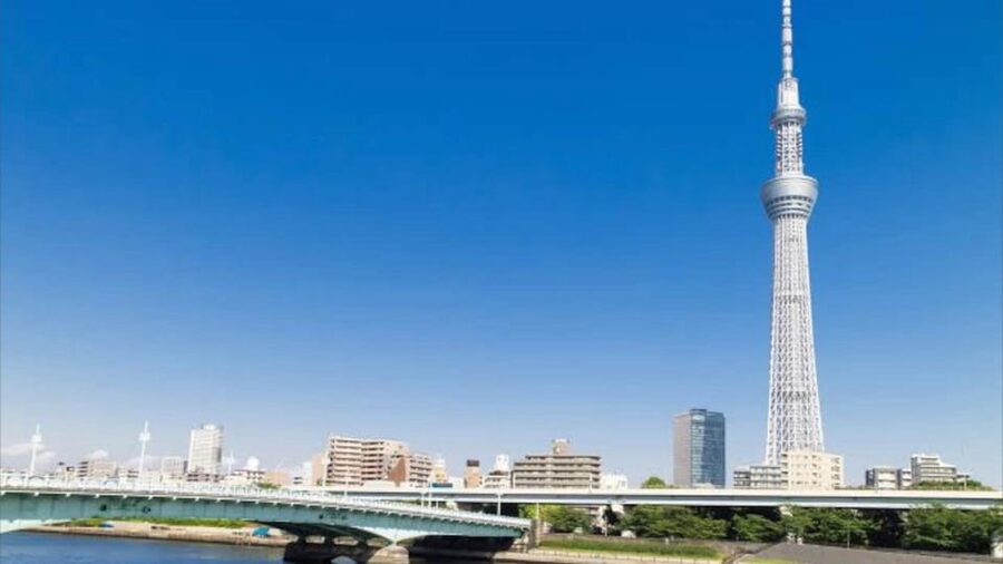 Tokyo: Customizable Private Guided Walking Tour - Who will get the most from this tour?
