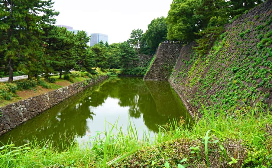 Tokyo: Imperial Palace Japanese History Walking Tour - Edo Castle ruins and samurai-era remains