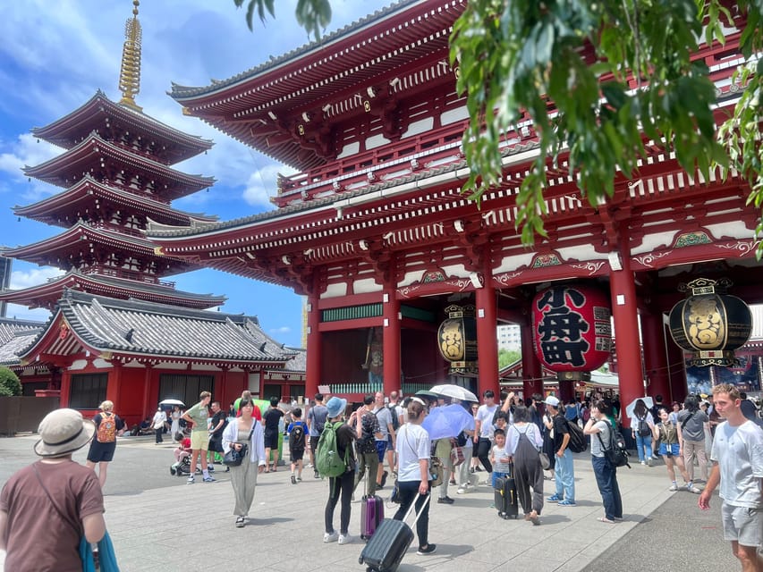 Tokyo: Meiji Jingu Shrine and Shinto Culture Walking Tour - Sake and wine barrels tell a wider story