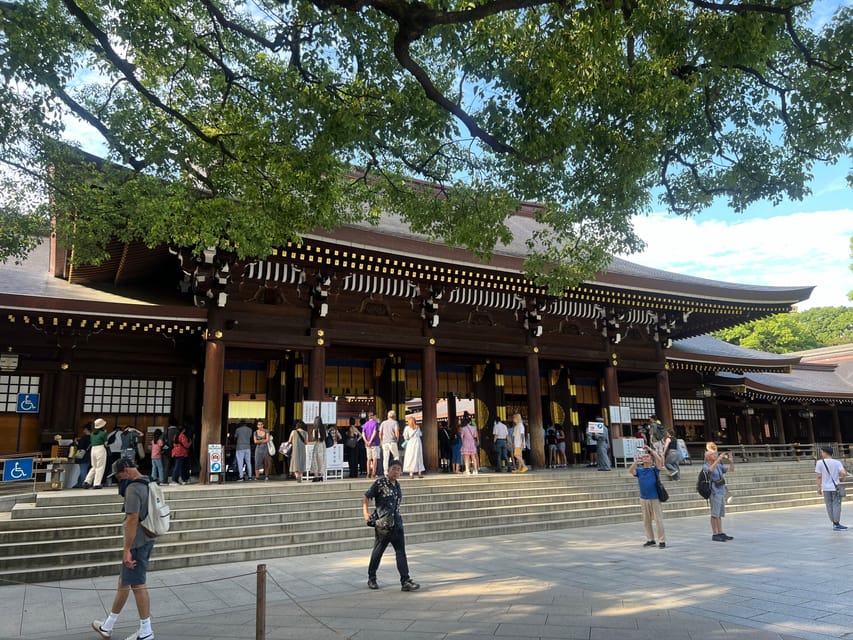 Tokyo: Meiji Jingu Shrine and Shinto Culture Walking Tour - What guides add beyond the shrine