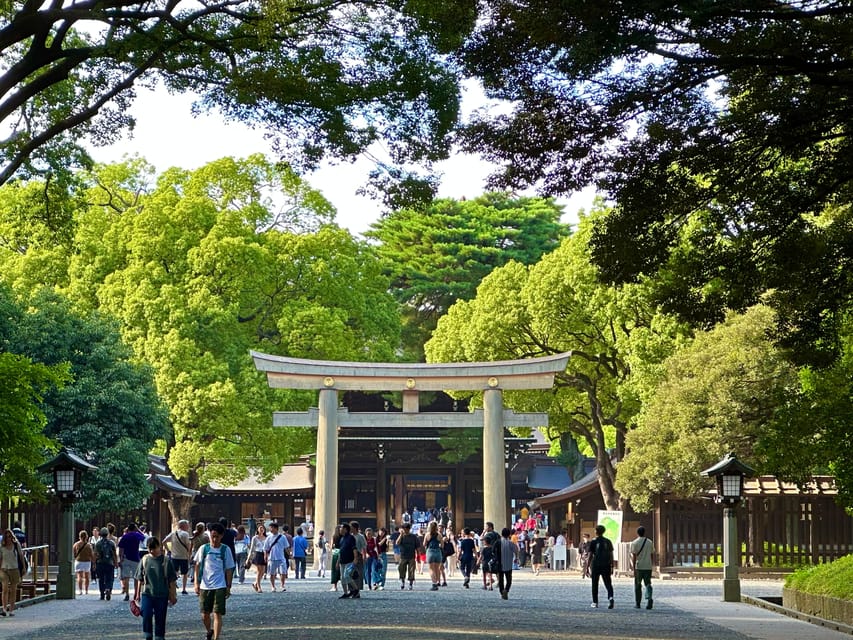 Tokyo: Meiji Jingu Shrine and Shinto Culture Walking Tour - Is $19 a good value?
