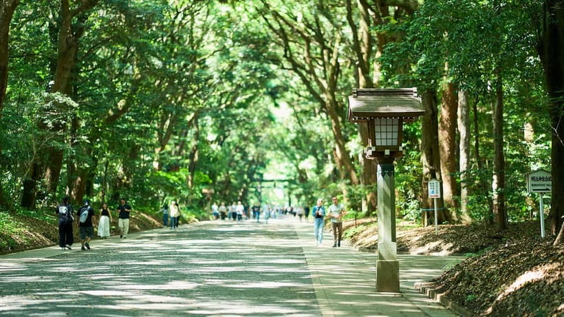 Tokyo: Meiji Shrine Walking Tour — Shinto & Imperial System - Key points to know before booking