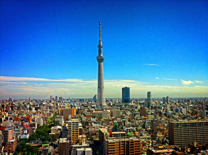 Tokyo: Private Walking Tour with a Local - Tokyo in a few useful facts