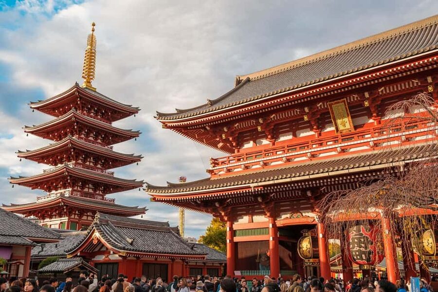 Tokyo: Private Walking Tour with a Local Guide - Why a private Tokyo tour helps