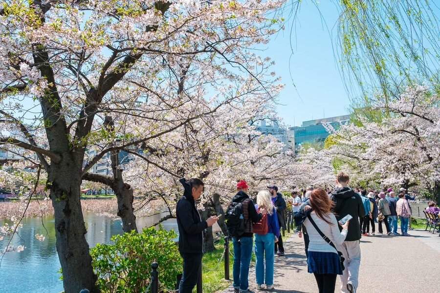 Tokyo: Private Walking Tour with a Local Guide - Tsukiji Outer Market: a strong choice for food lovers