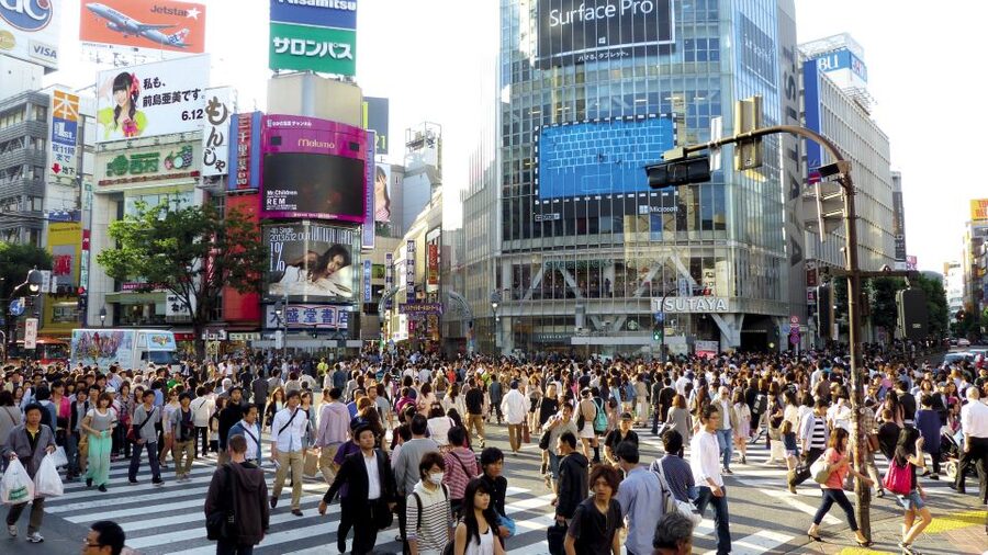 Tokyo: Private Walking Tour with a Local - Meet your guide near the city center