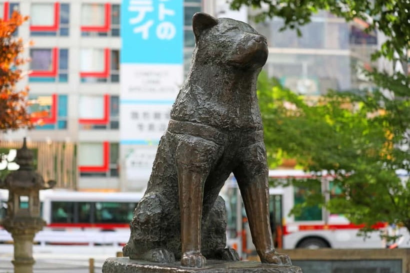 Tokyo: Shibuya Crossing & Hidden Streets Walking Tour - Maruyama-cho: From Older Streets to Nightlife