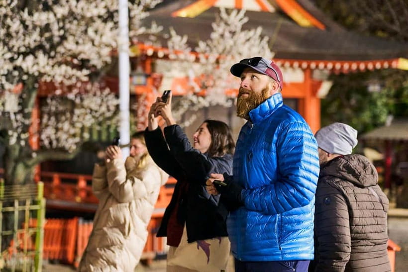 Tokyo: Shinjuku Nightlife & Secret Backstreets Walking Tour - Hanazono Shrine after dark