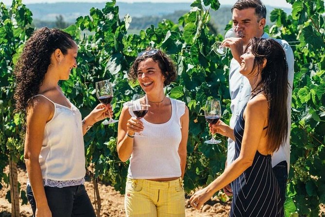 Toledo Tour & Vineyard Walk with Wine Tasting from Madrid - Why this Toledo and wine combination works