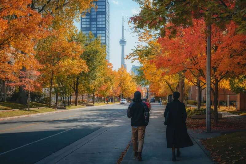Toronto: City Highlights Walking Tour | 3-Hour - David Pecaut Square and John Street
