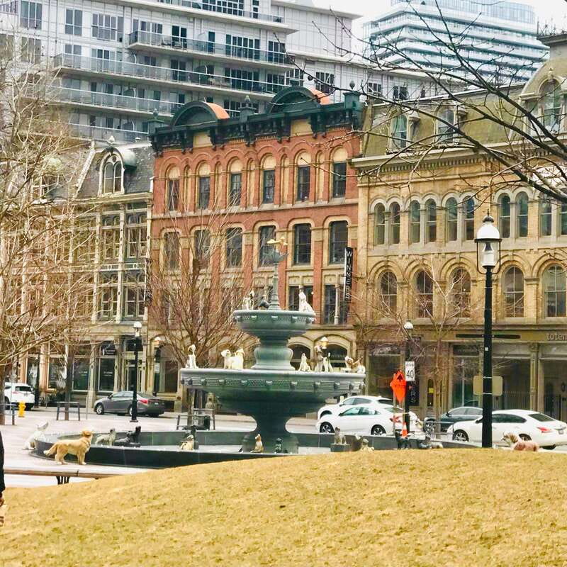 Toronto: City Walking Tour - Walking Conditions, Weather, and Who Should Book