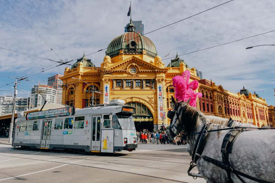Ultimate Melbourne Walking Tour: History, Laneways & Culture - Degraves Street and the complimentary Melbourne coffee