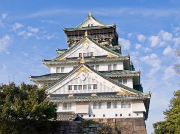 Ultimate Osaka Walking Tour: Castle, Dotonbori & Hidden Gems - Key points to know before booking