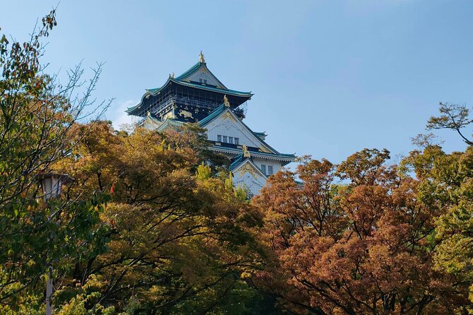 Ultimate Osaka Walking Tour: Castle, Dotonbori & Hidden Gems - Shinsaibashi-suji turns the walk into daily Osaka