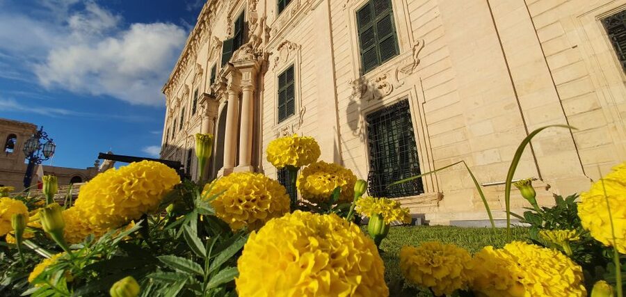 Valletta: City Walking Tour in a Small Group - Republic Square and Queen Victoria