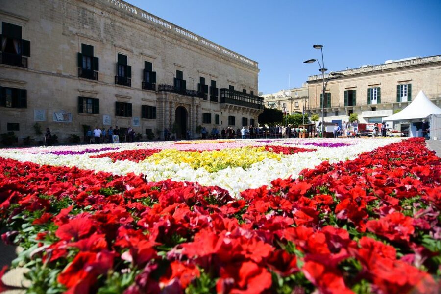 Valletta: Guided City Walking Tour - How demanding is the walk?